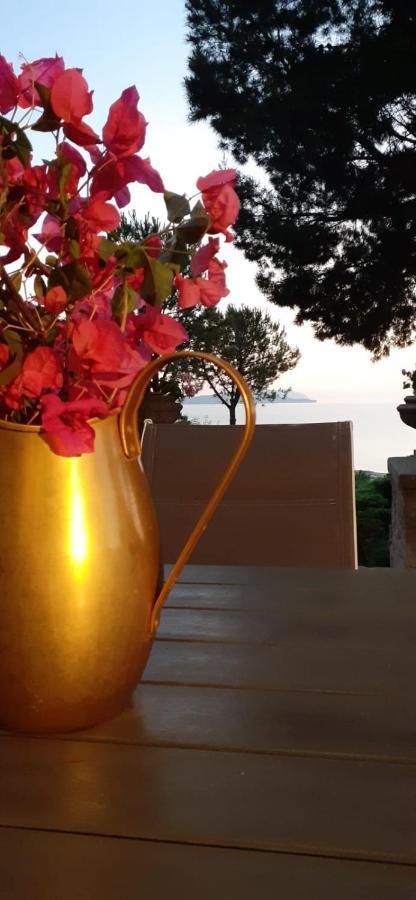 エーリチェ Casa "Le Terrazze"ヴィラ エクステリア 写真